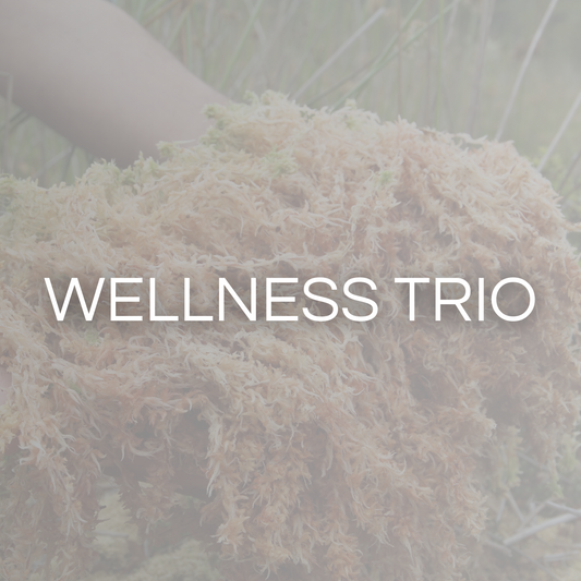 The Ultimate Wellness Trio: Sea Moss, Shilajit, and Vitamin D for Holistic Health