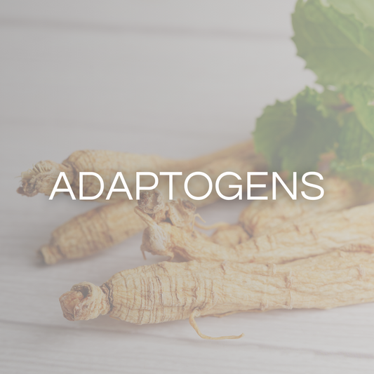 Harnessing the Power of Adaptogens: Elevate Your Energy, Immunity, and Gut Health