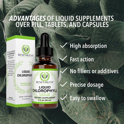 Liquid Chlorophyll Drops: Natural Detox, Deodorant & Gut Support – 4-Month Supply