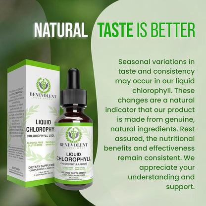 Liquid Chlorophyll Drops: Natural Detox, Deodorant & Gut Support – 4-Month Supply