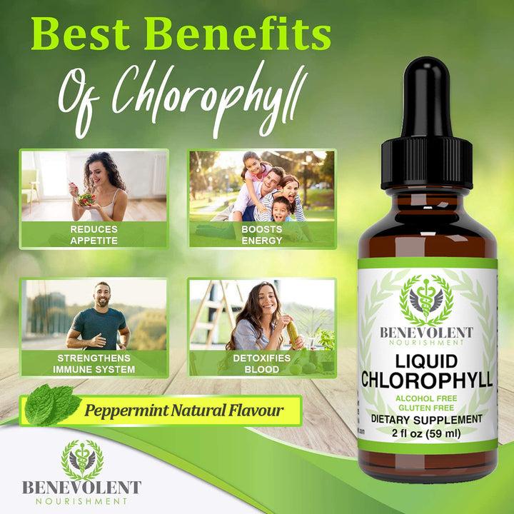 Liquid Chlorophyll Drops: Natural Detox, Deodorant & Gut Support – 4-Month Supply